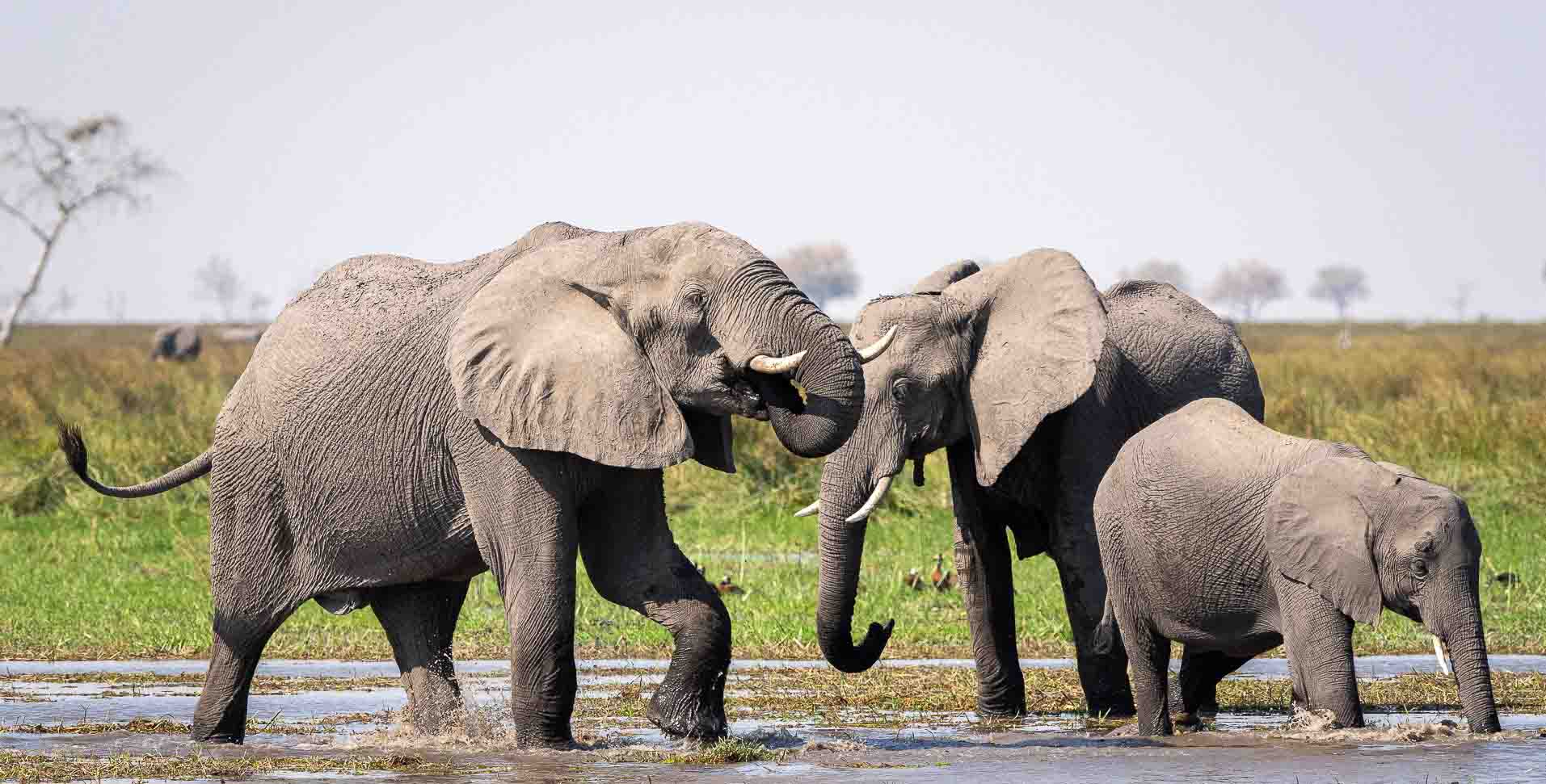 Wilderness and Standard Bank Partnering for Conservation