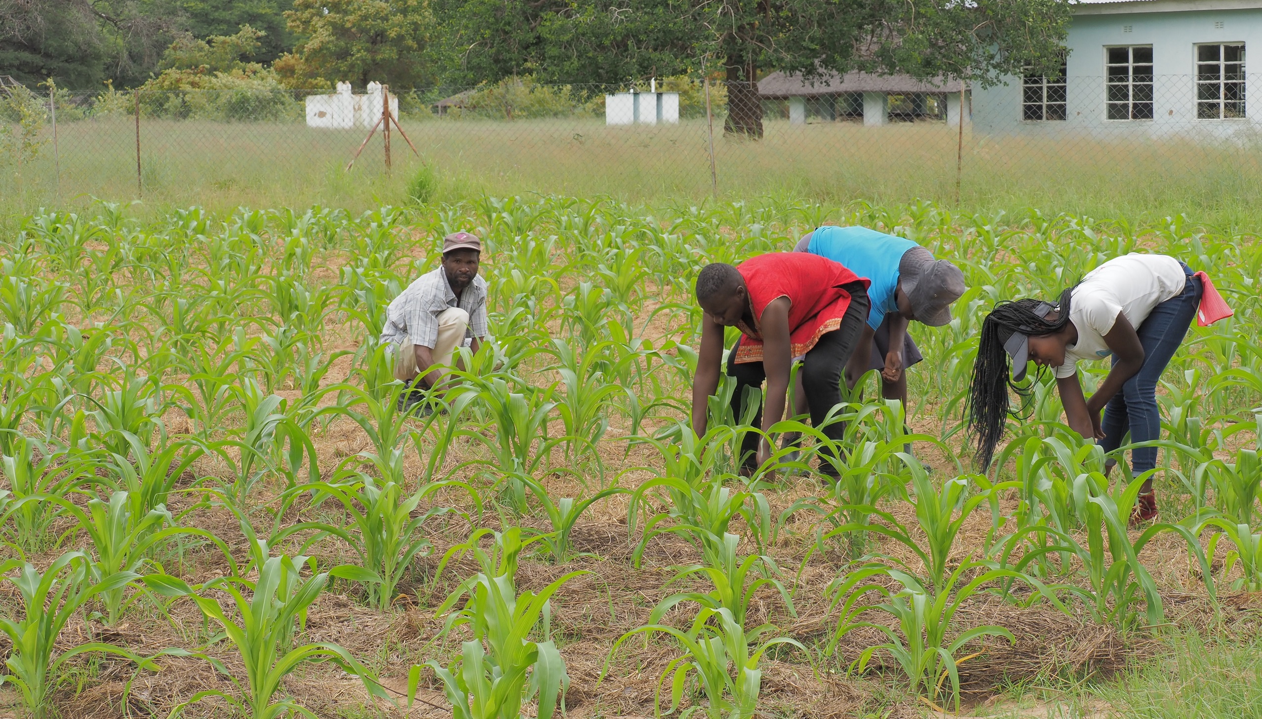 Wilderness Zimbabwe farm to fork community project.